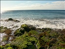 Sardina del Norte, Gran Canaria